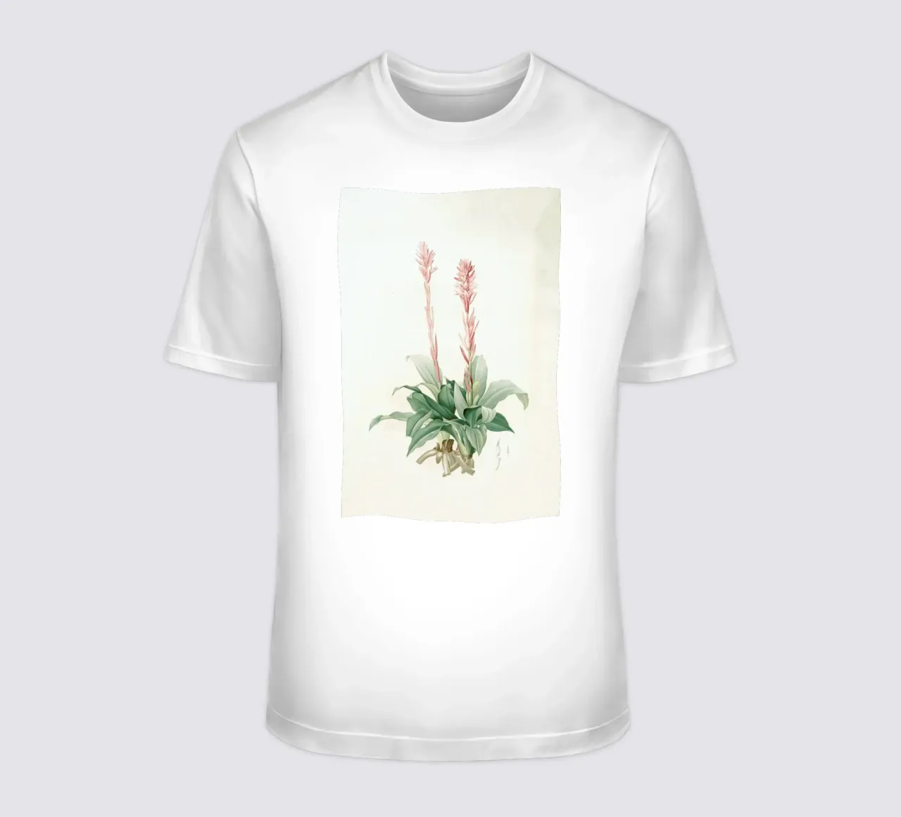 Neottia speciosa -Pierre Joseph t-shirt da Artokoloro Quint Lox Ltd