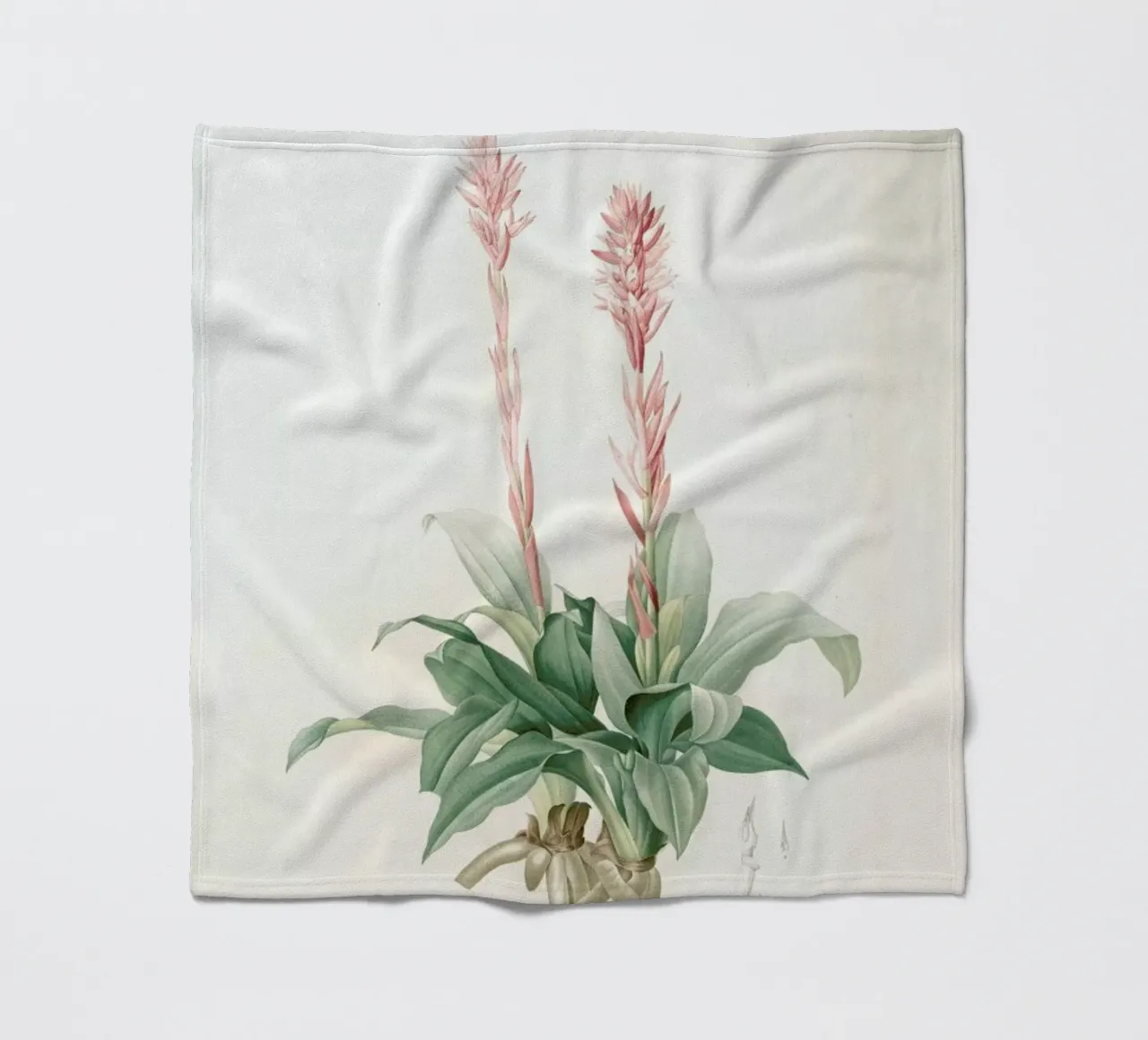 Neottia speciosa -Pierre Joseph coperta in pile da Artokoloro Quint Lox Ltd