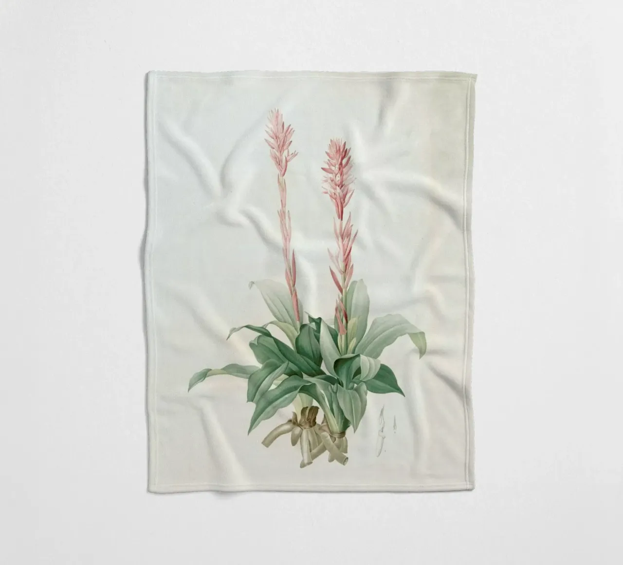 Neottia speciosa -Pierre Joseph coperta in pile da Artokoloro Quint Lox Ltd