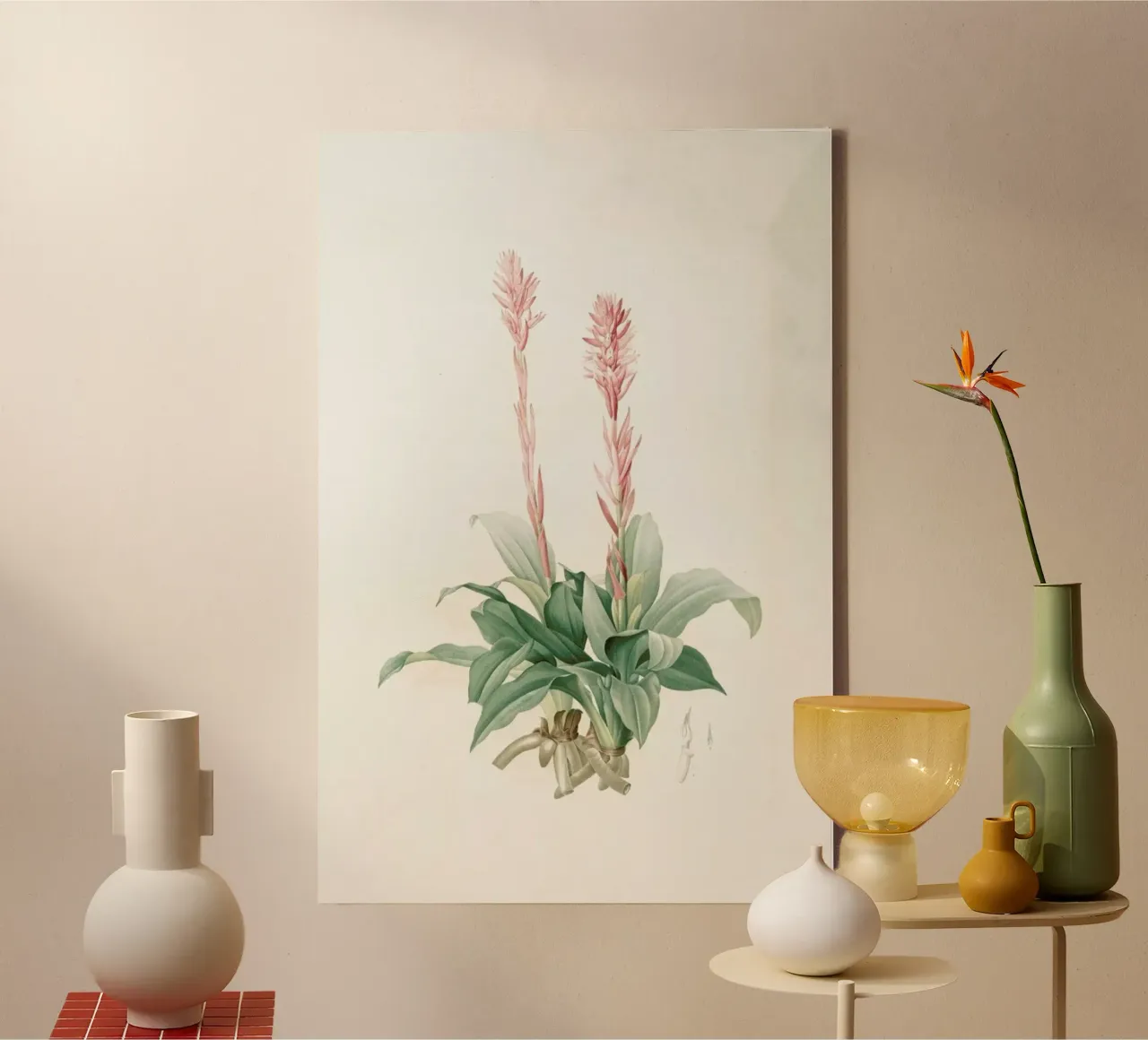 Neottia speciosa -Pierre Joseph tela con Cornice a cassetta da Artokoloro Quint Lox Ltd