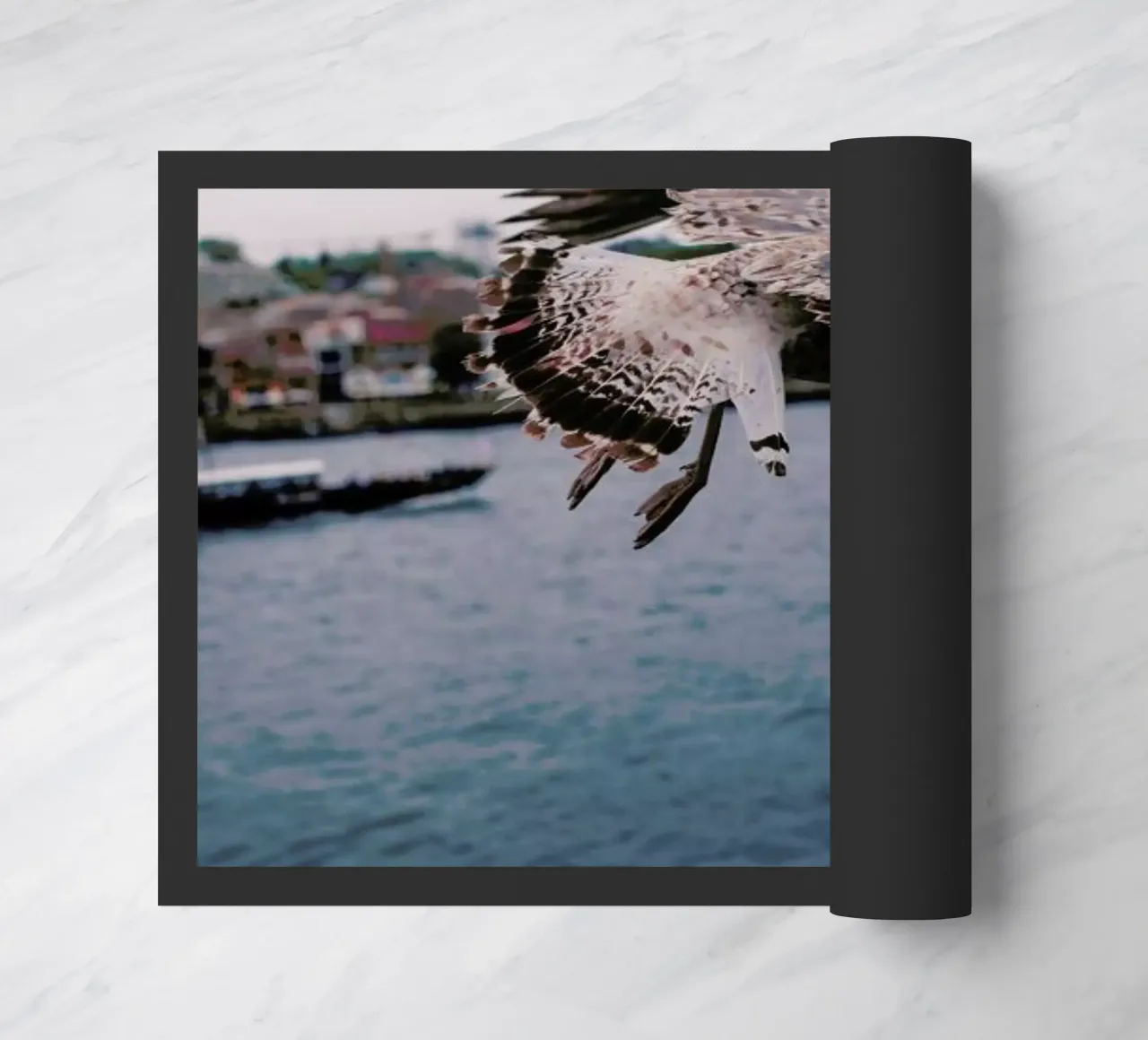 Seaside zerbino da Sebastian Hilgetag