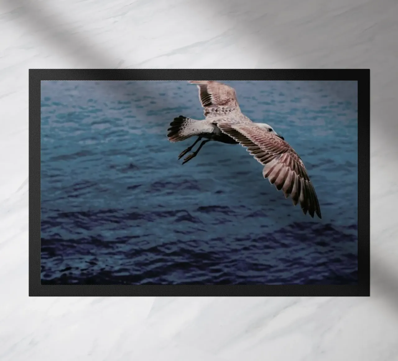 Seagull in Porto zerbino da Sebastian Hilgetag