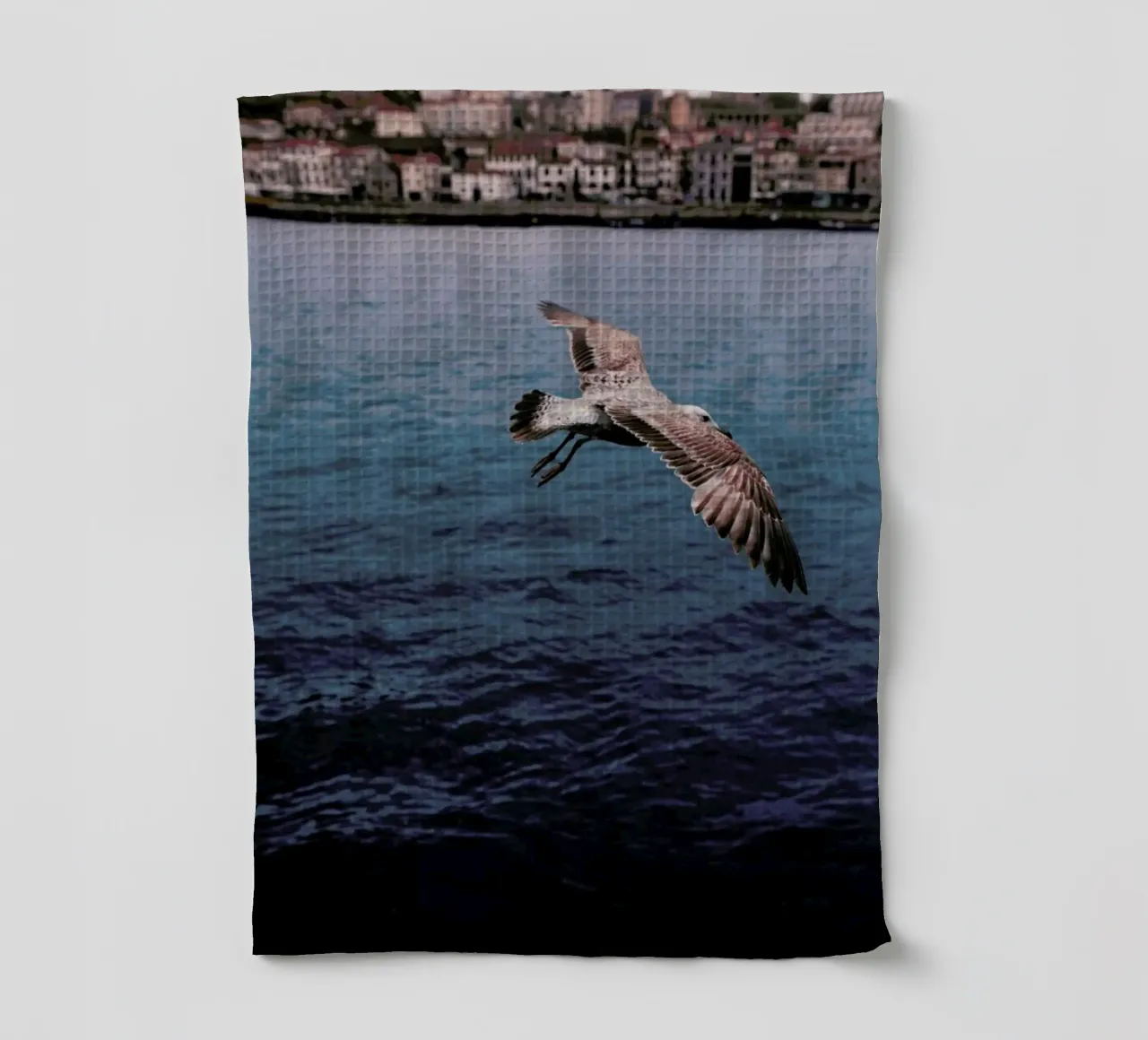Seagull in Porto canovaccio da cucina da Sebastian Hilgetag