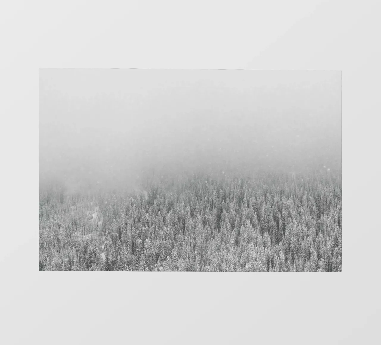 Snowy Day backlit film by Nur Mut