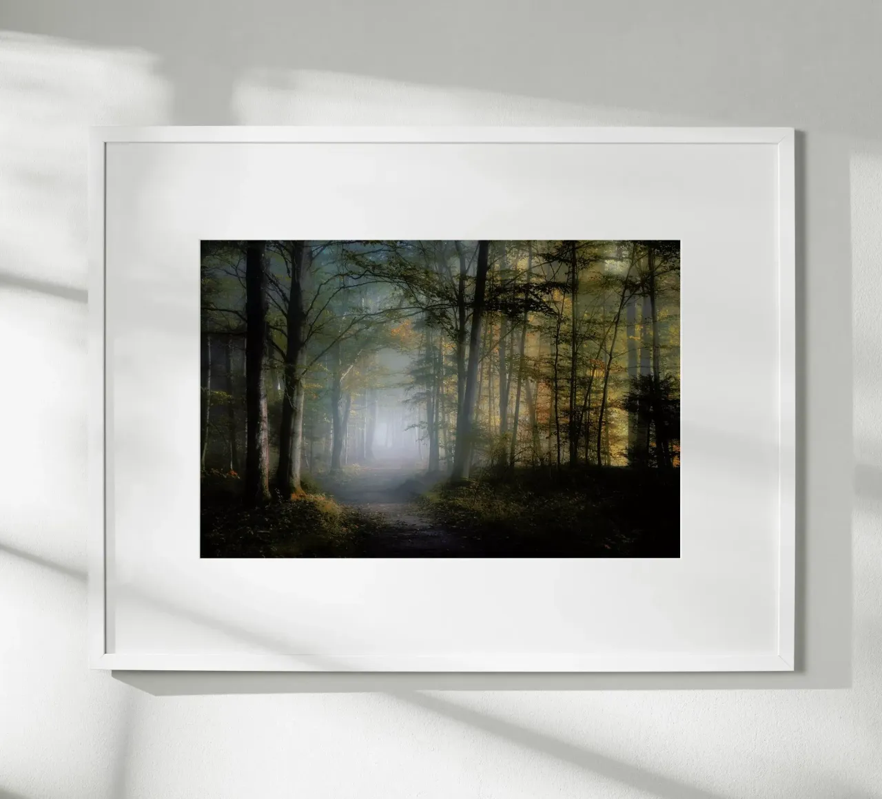 Autumn Symphony - Norbert Maier carta hahnemühle da Pictufy