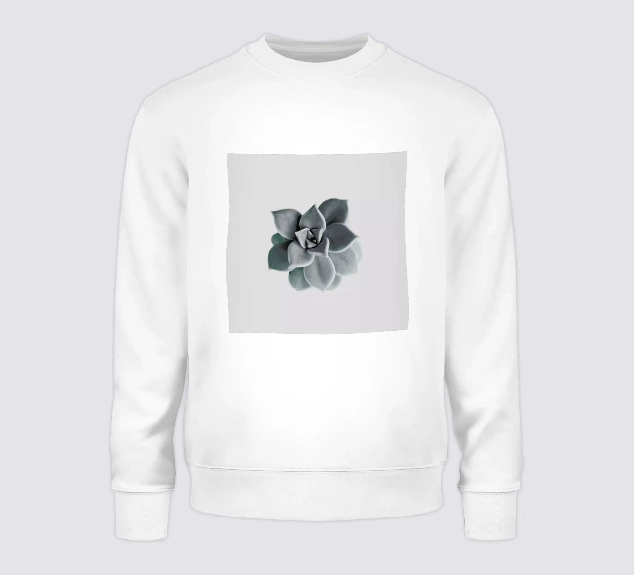Succulent sudadera de George Griefy
