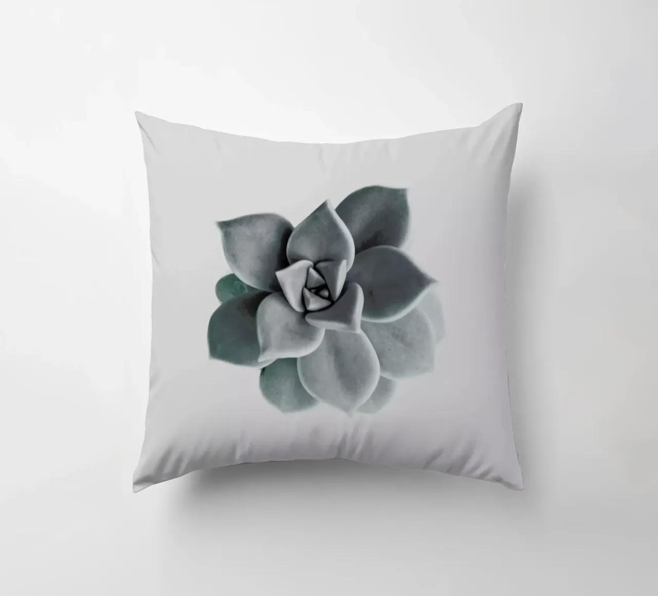 Succulent decorative cushion by George Griefy