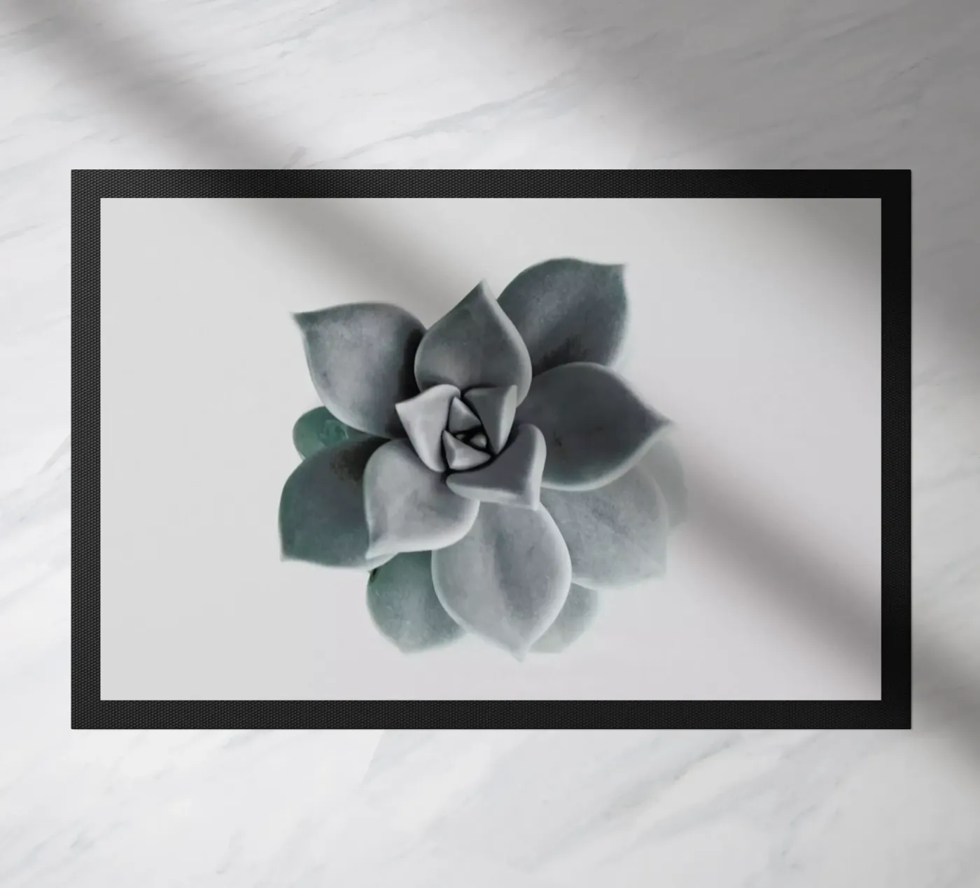 Succulent doormat by George Griefy