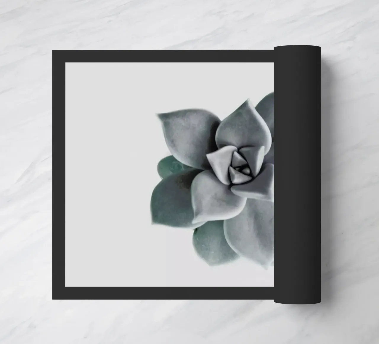 Succulent zerbino da George Griefy