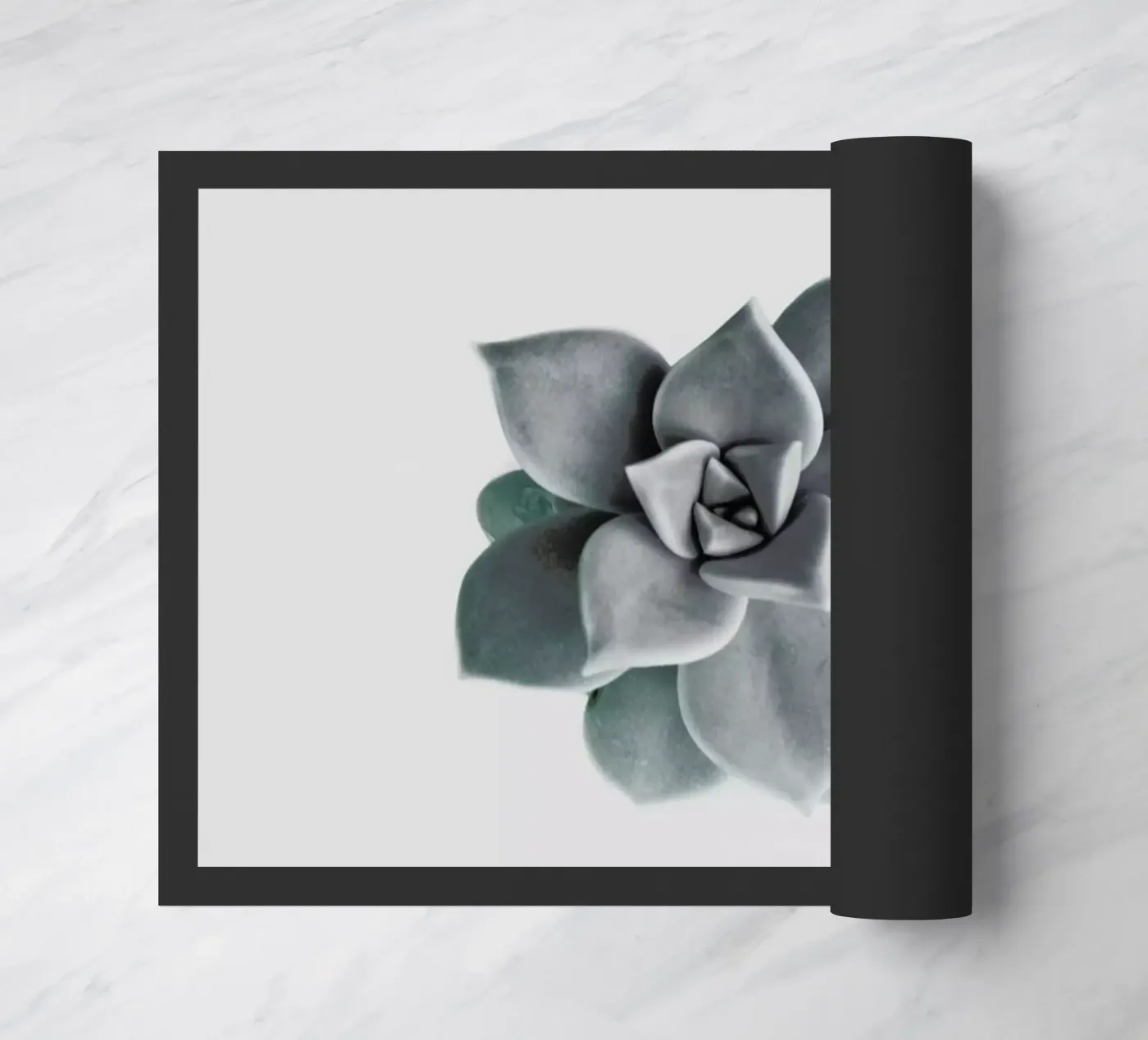 Succulent doormat by George Griefy