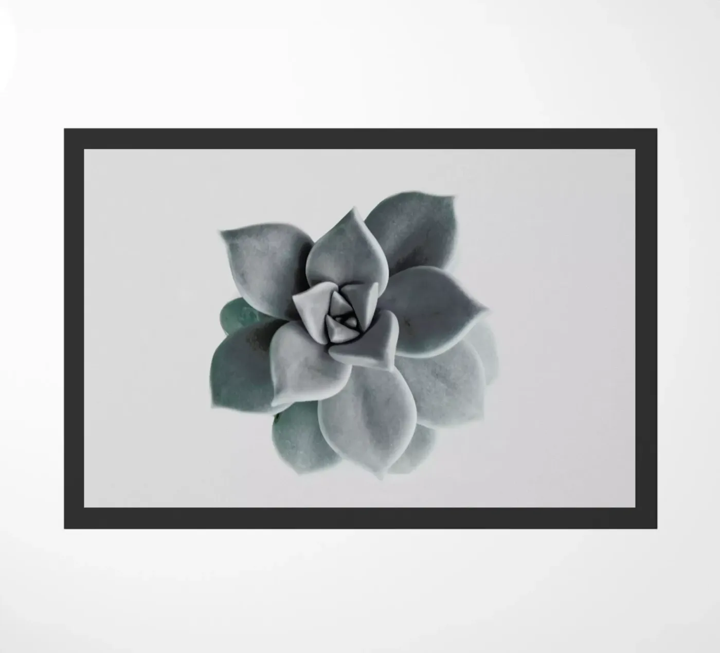 Succulent doormat by George Griefy