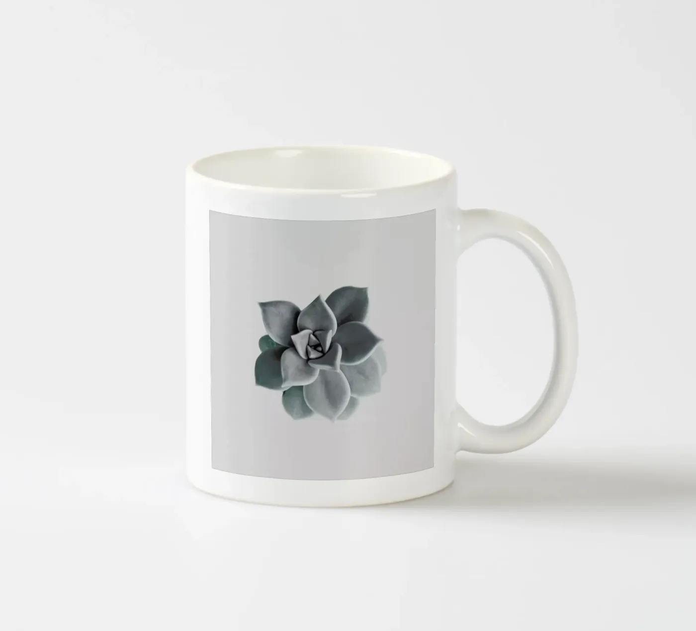 Succulent ceramic mug by George Griefy
