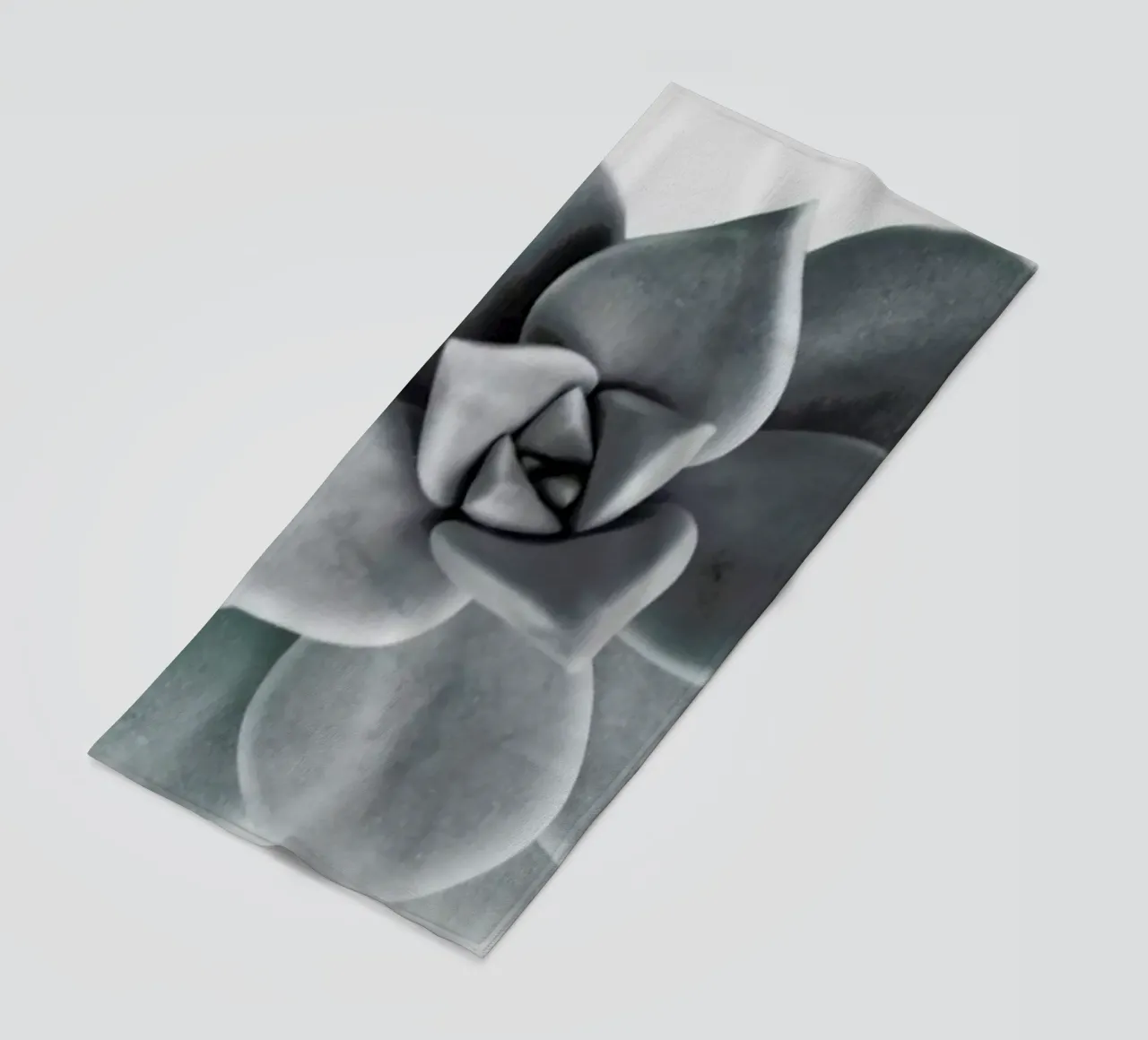 Succulent telo mare da George Griefy