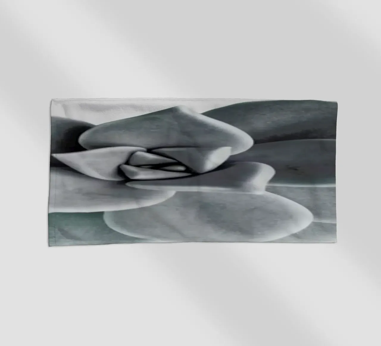 Succulent telo mare da George Griefy