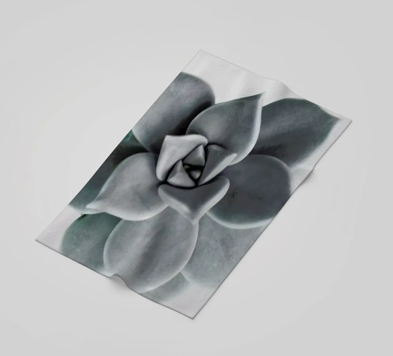 Succulent telo mare da George Griefy