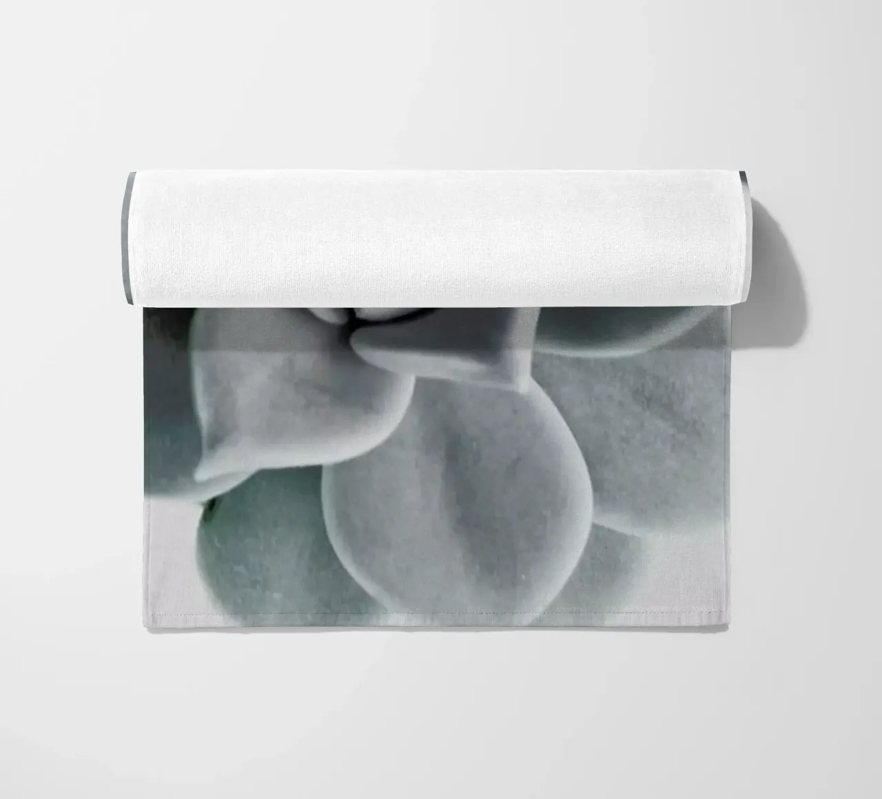 Succulent telo mare da George Griefy