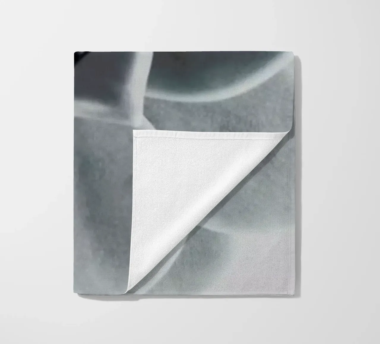 Succulent telo mare da George Griefy