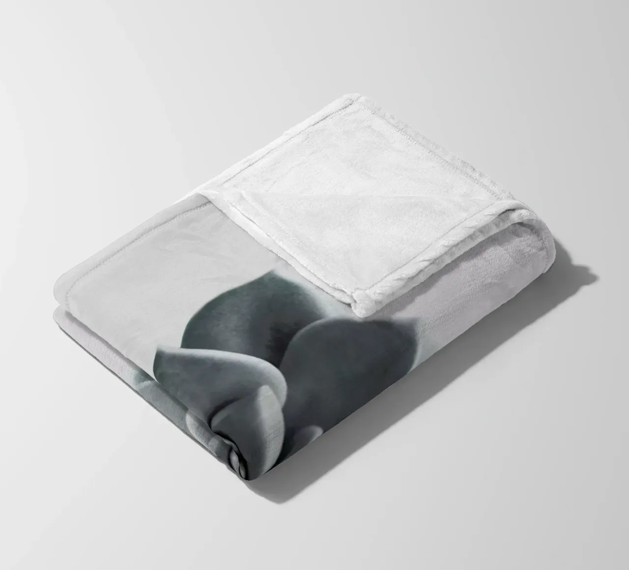 Succulent fleece blanket by George Griefy