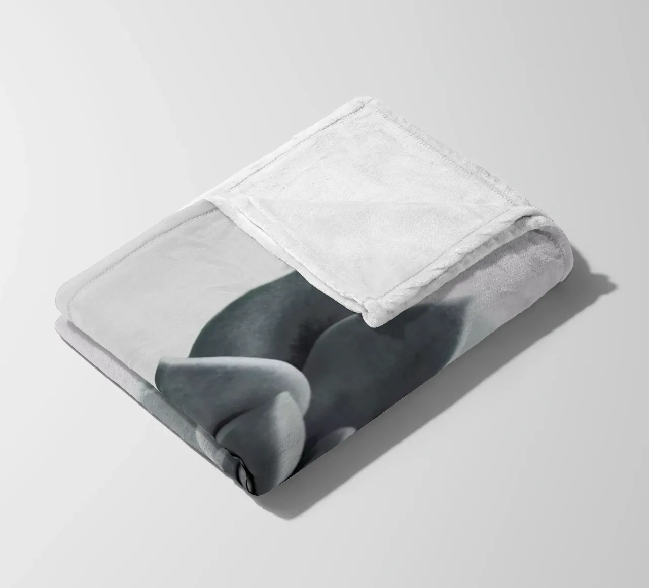 Succulent fleece blanket by George Griefy