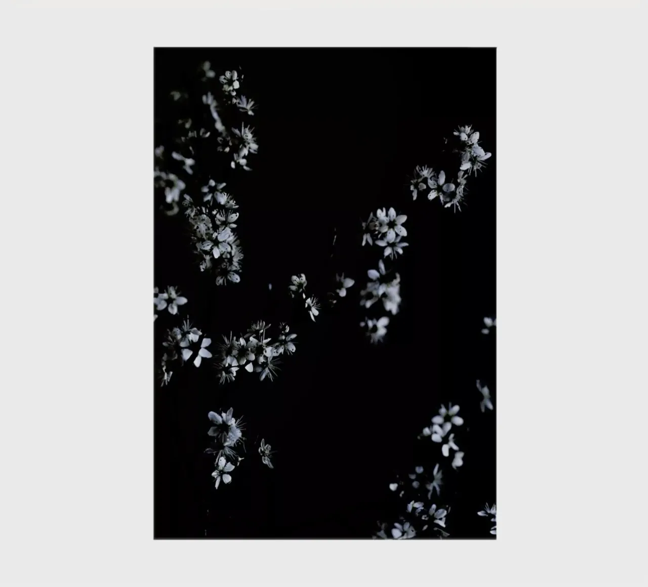 Moody Flower Beauty notebook by Studio Nahili