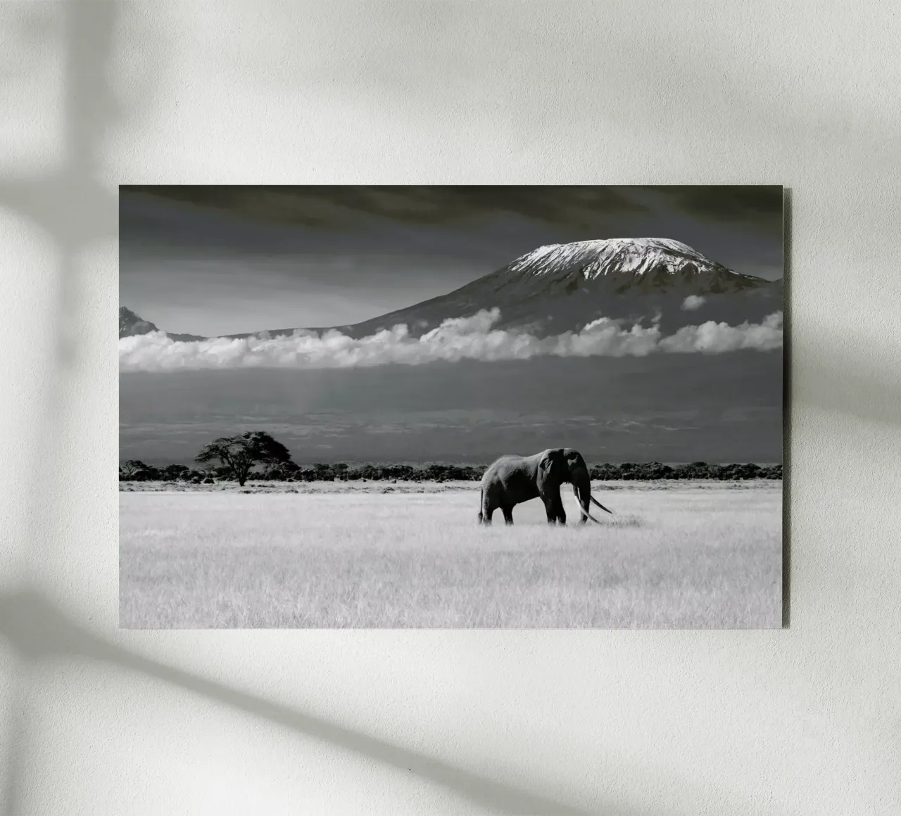 Lost Colors II - ibrahimcanakci alluminio dibond da Pictufy