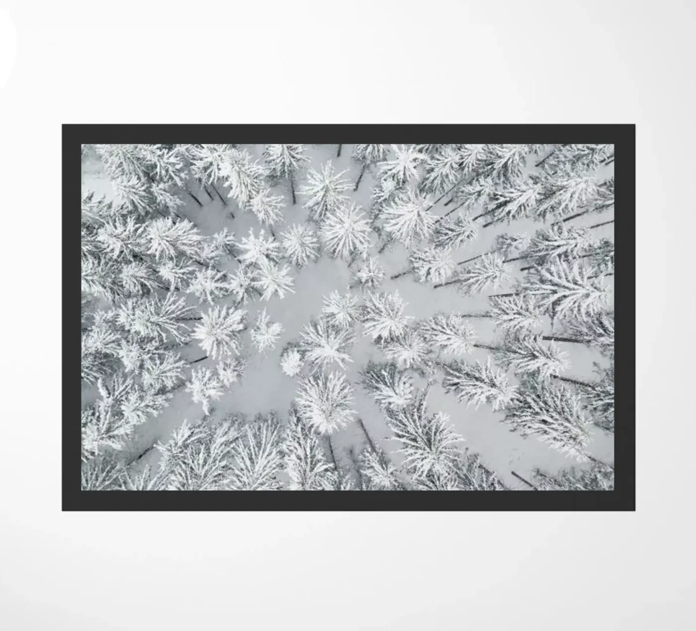 Snowy Forests zerbino da Studio Nahili