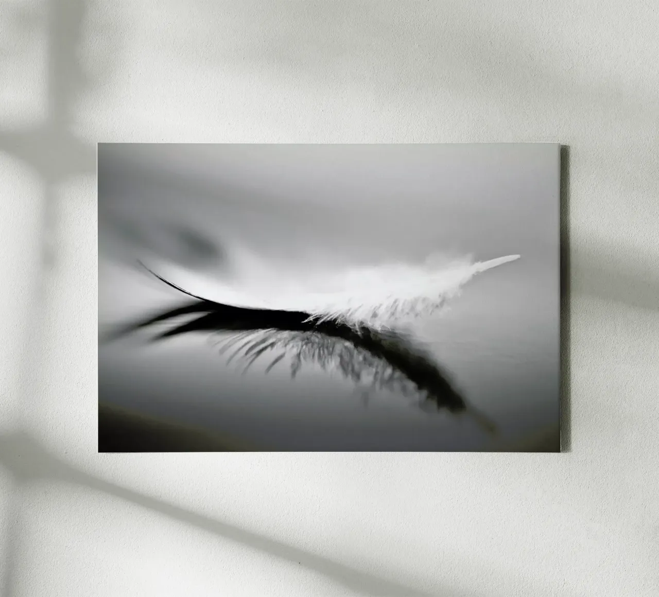 White - Olinda Coutinho canvas by Pictufy