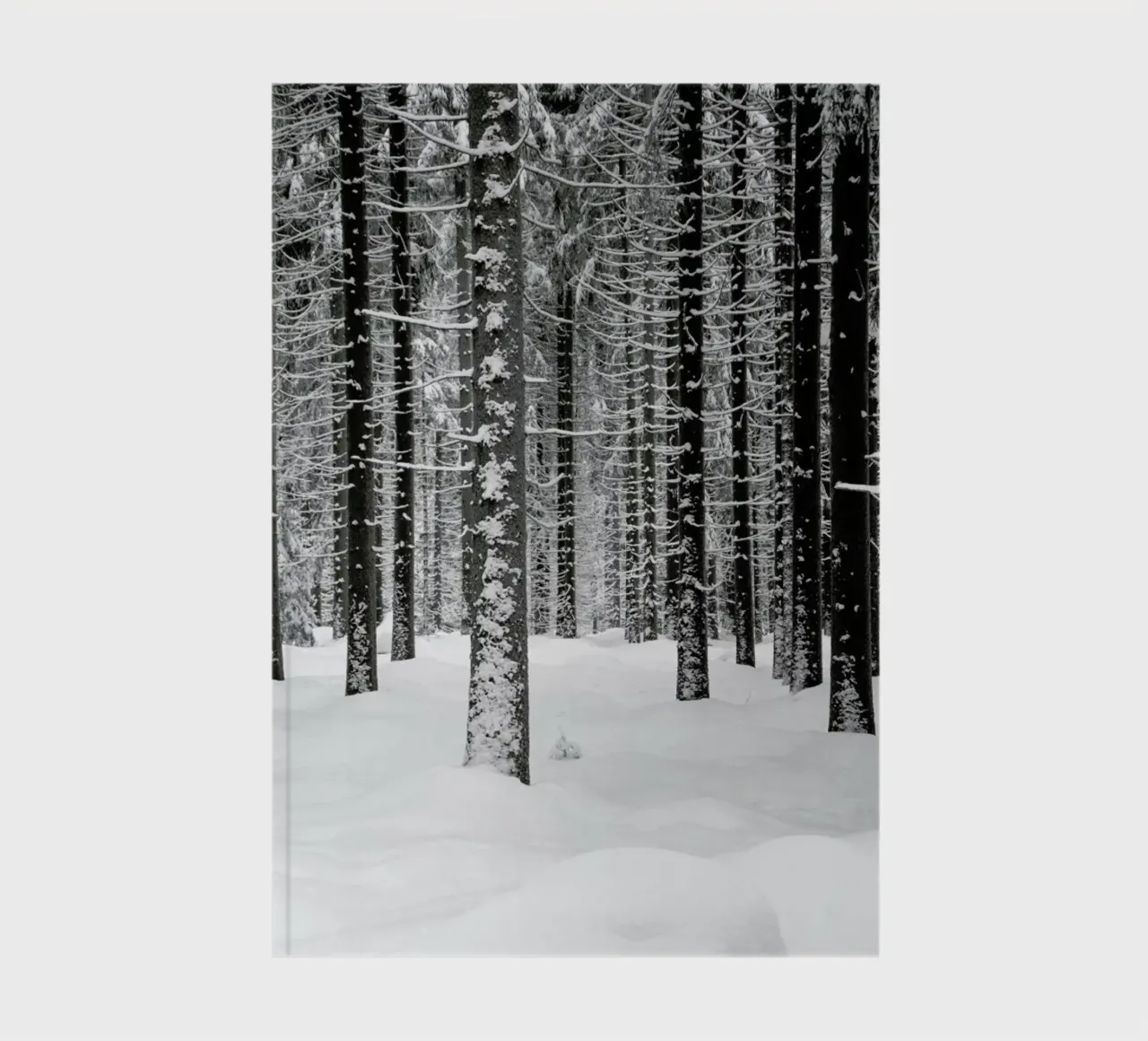 Deep Dark White Forest notebook by Studio Nahili
