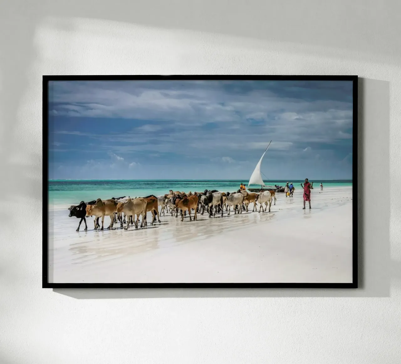 Masai Cattle on Zanzibar Beach carta hahnemühle da Pictufy