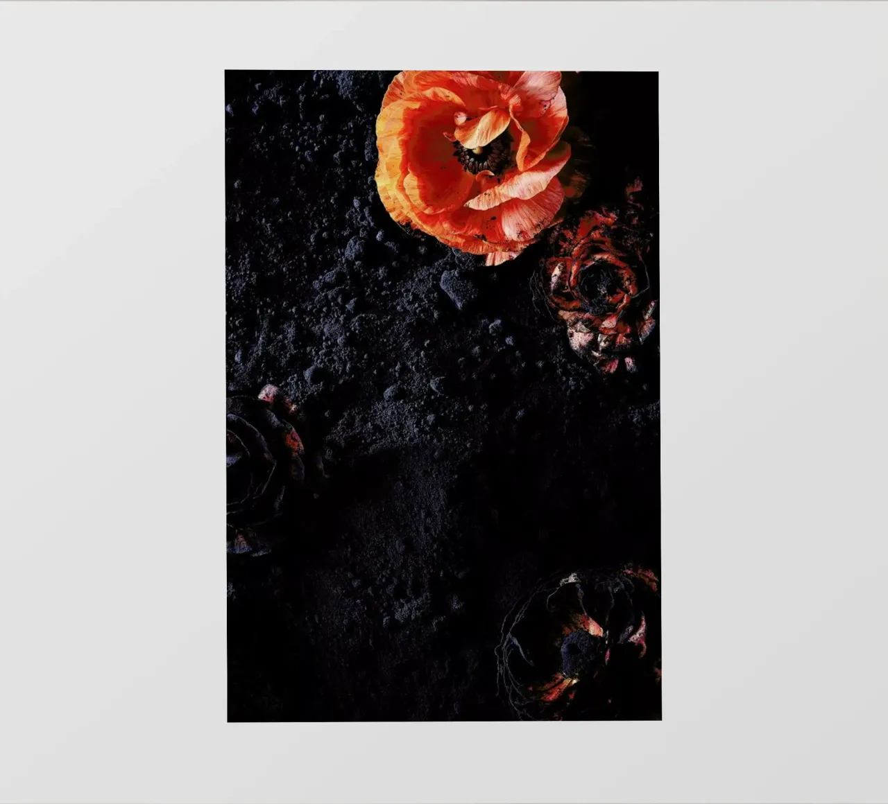 Flowers Four telo in pvc da neon* fotografie