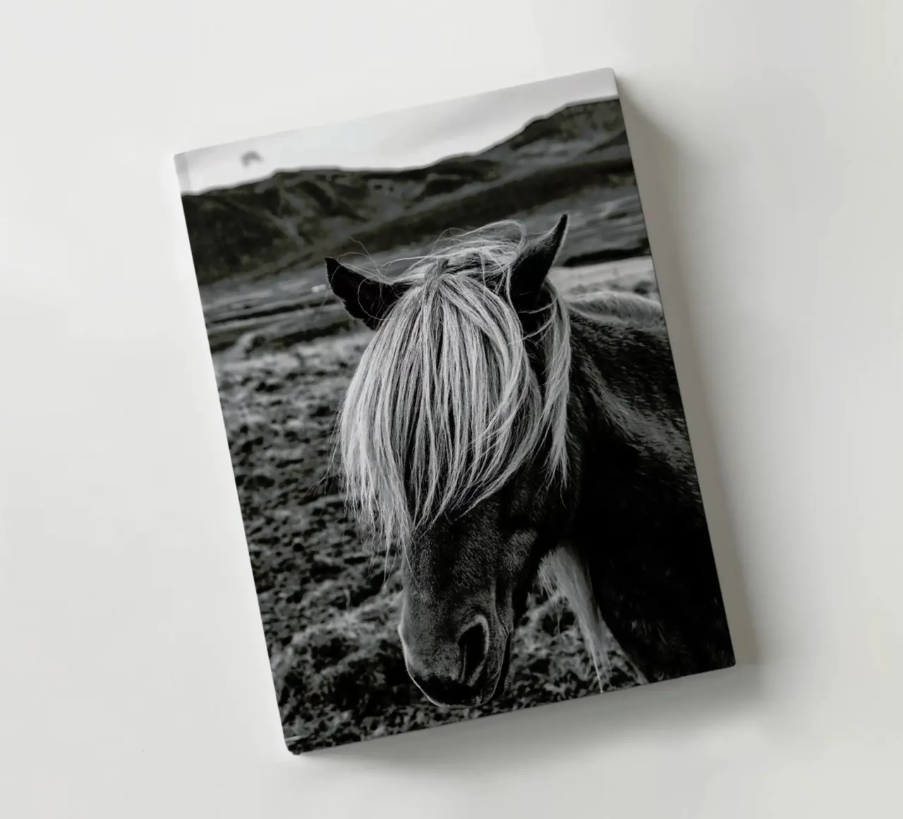 Look Me in the Eye notebook by anderm