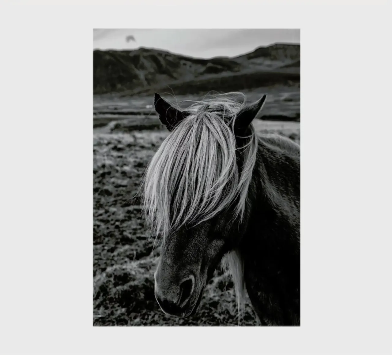 Look Me in the Eye notebook by anderm