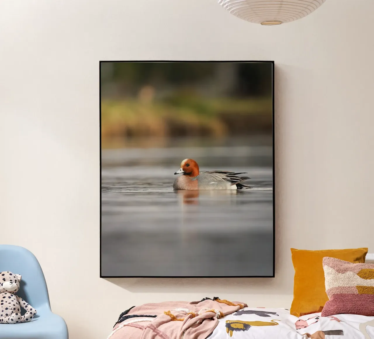 Fischione plexiglass da Tom's Wildlife