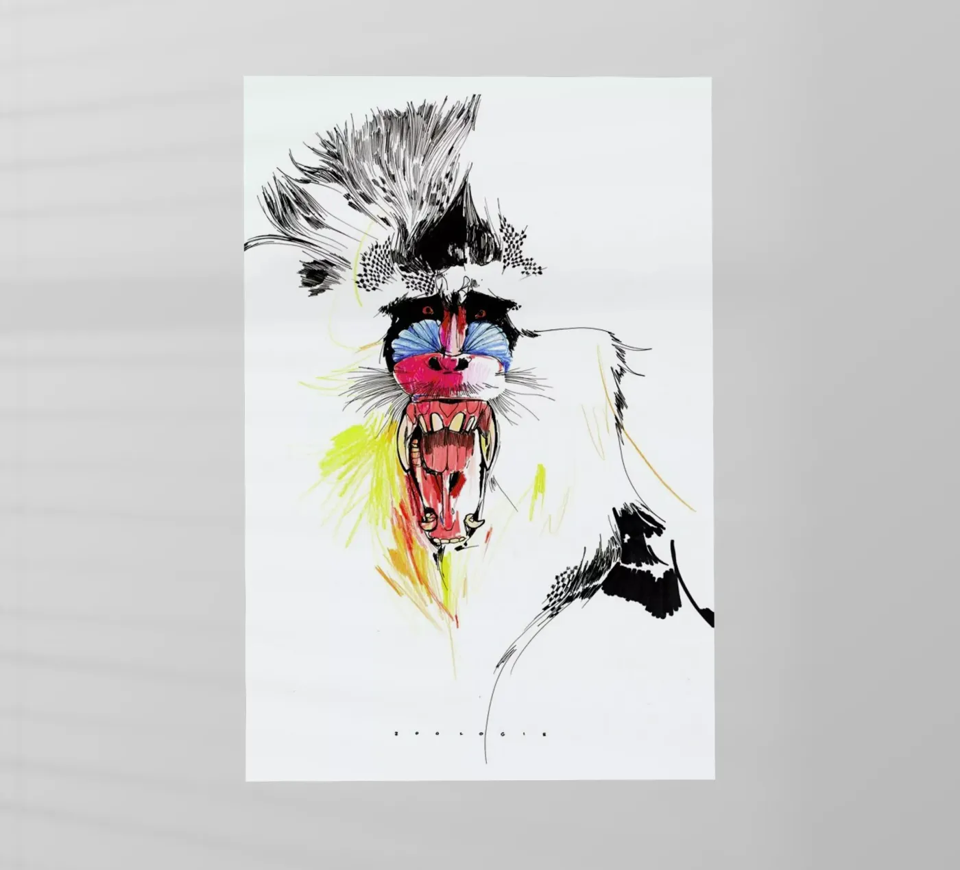 Baboon pellicola backlit da Mala Alani