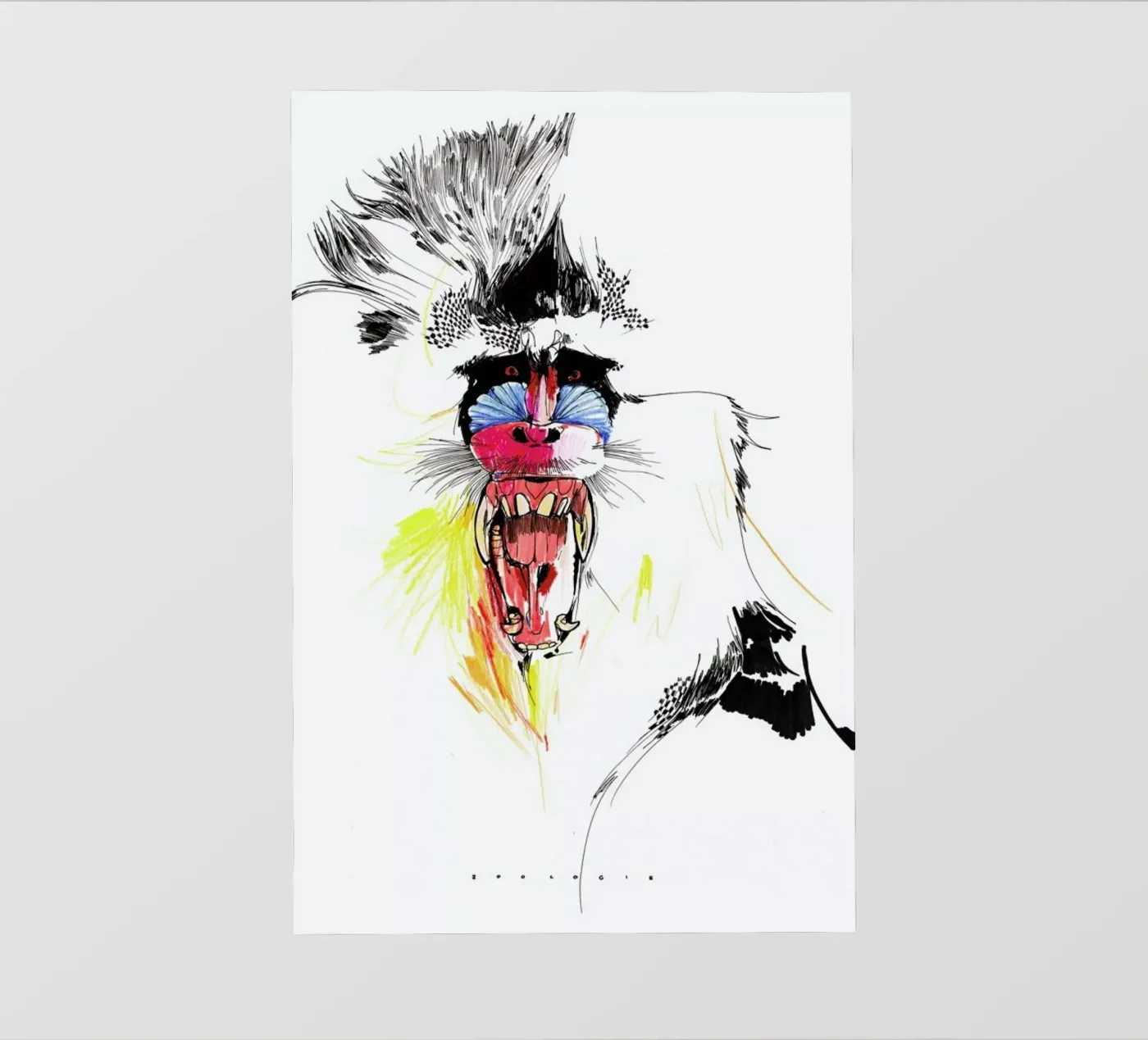 Baboon pellicola backlit da Mala Alani