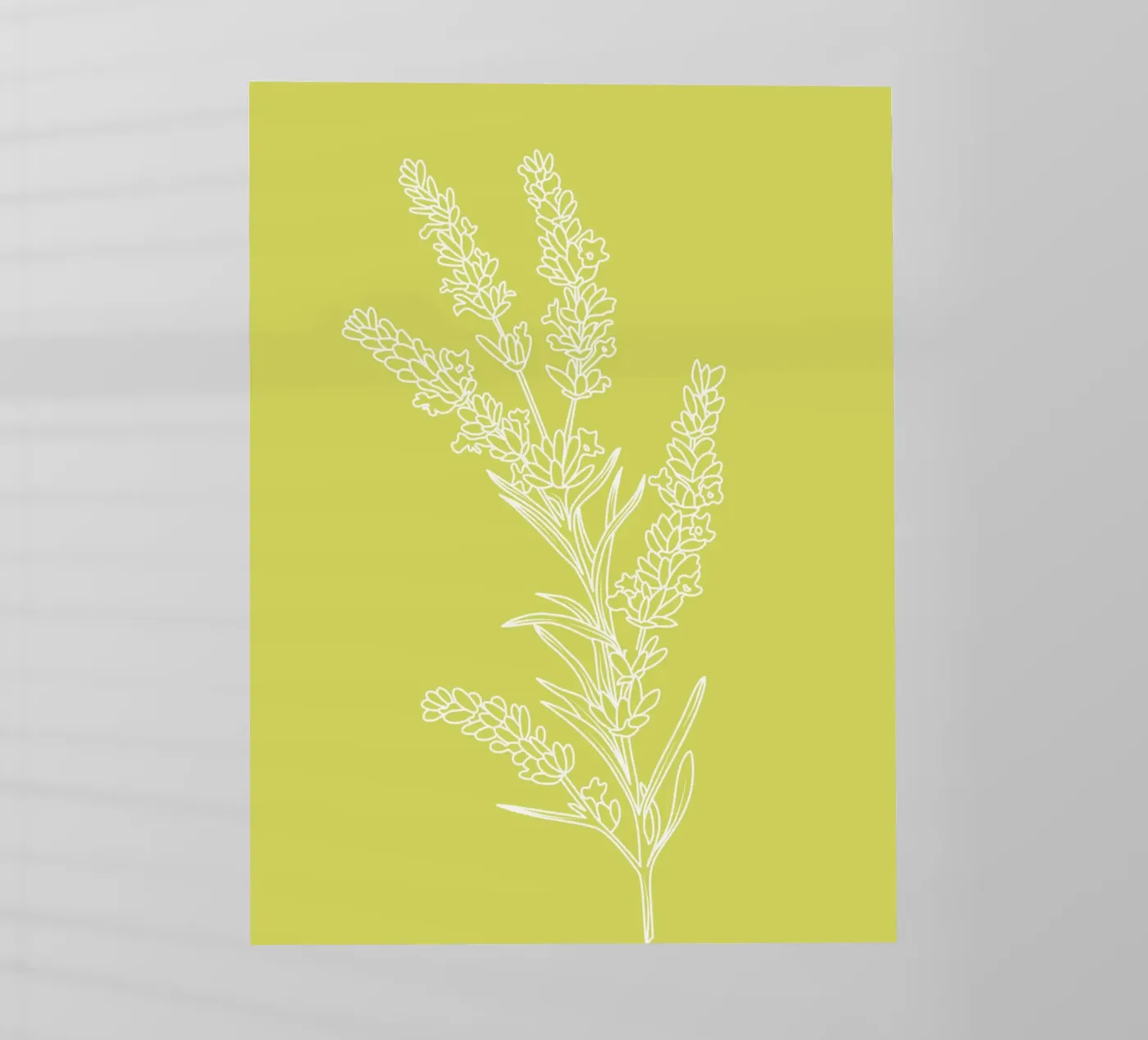 Lavender pellicola backlit da LisaArtes