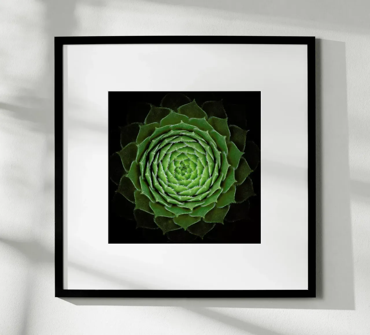 Succulent - Victor Mozqueda poster con telaio in legno da Pictufy