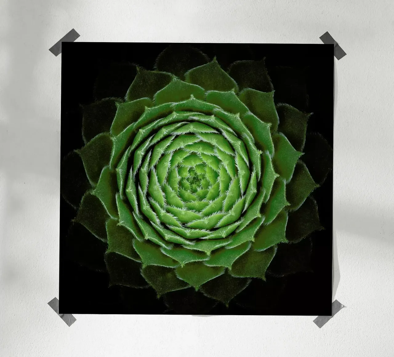 Succulent - Victor Mozqueda poster con telaio in legno da Pictufy