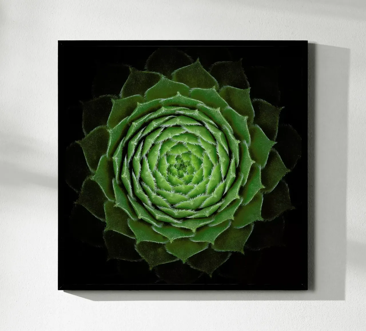 Succulent - Victor Mozqueda poster con telaio in legno da Pictufy