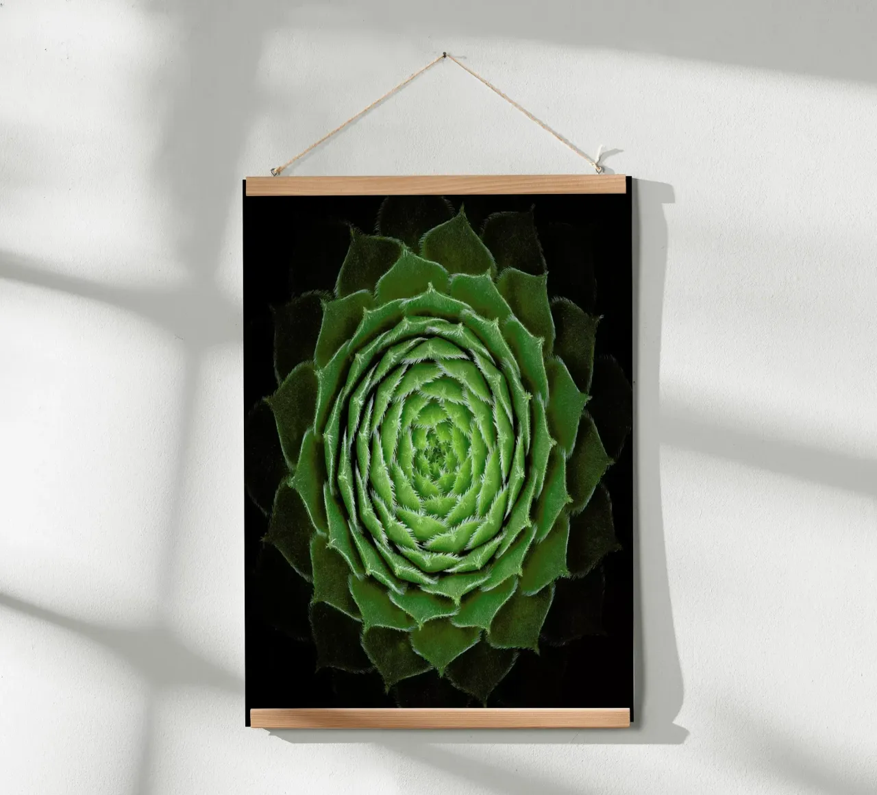 Succulent - Victor Mozqueda poster con telaio in legno da Pictufy
