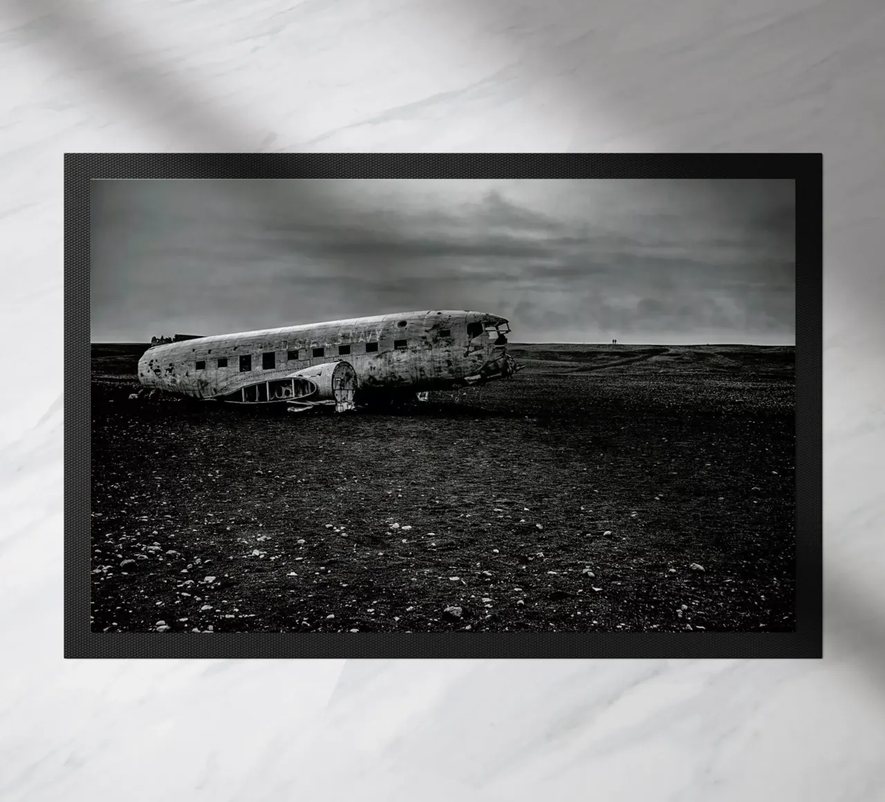 Survived zerbino da anderm