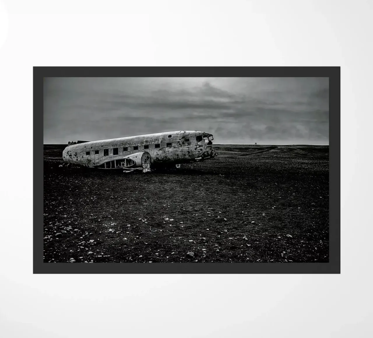 Survived zerbino da anderm