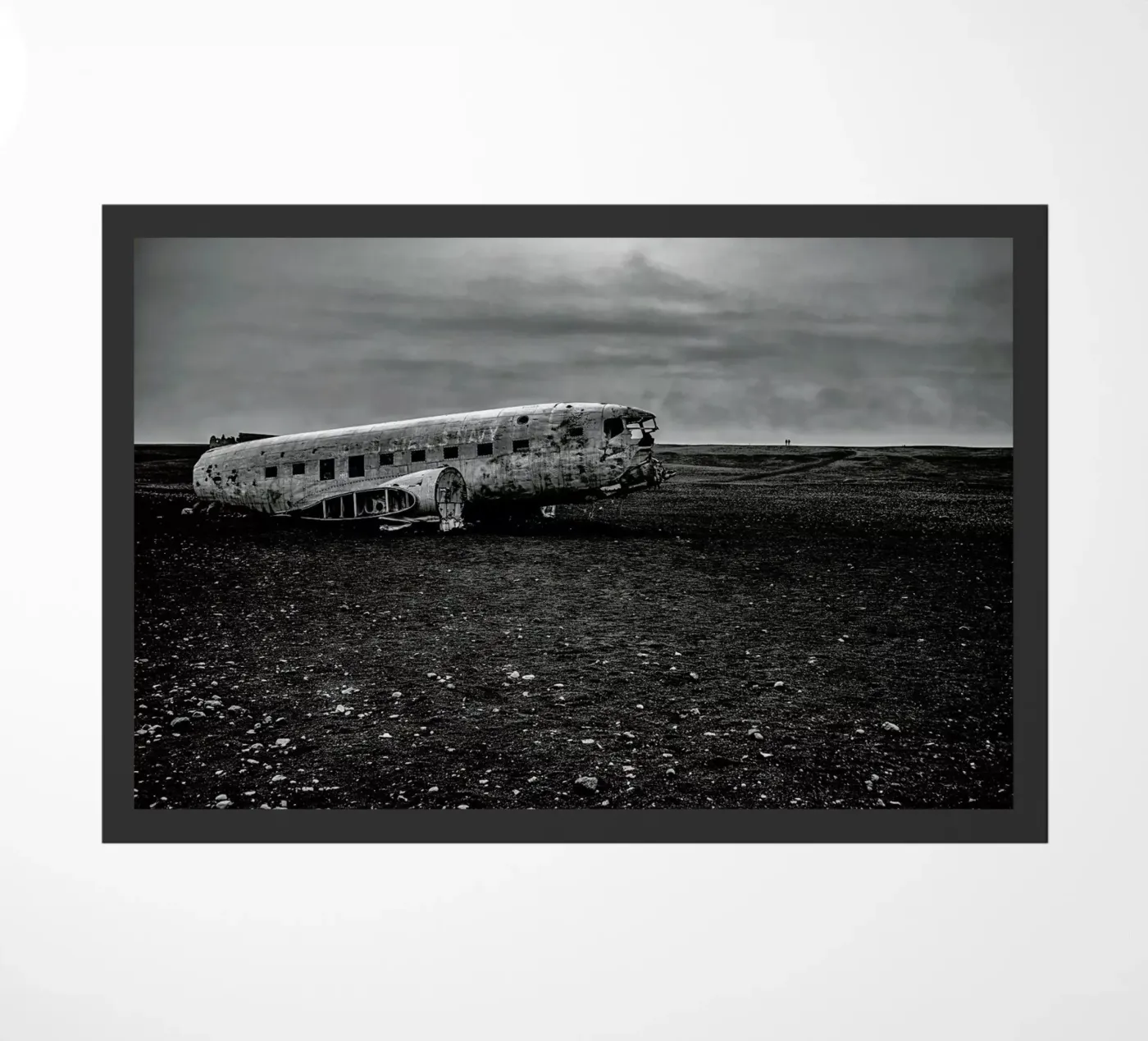 Survived paillasson de anderm