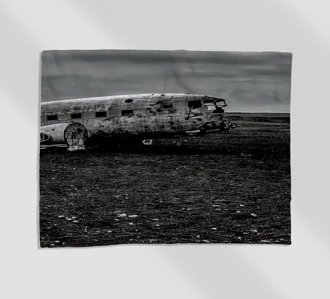 Survived product.type.towel-beach common.byCreator anderm