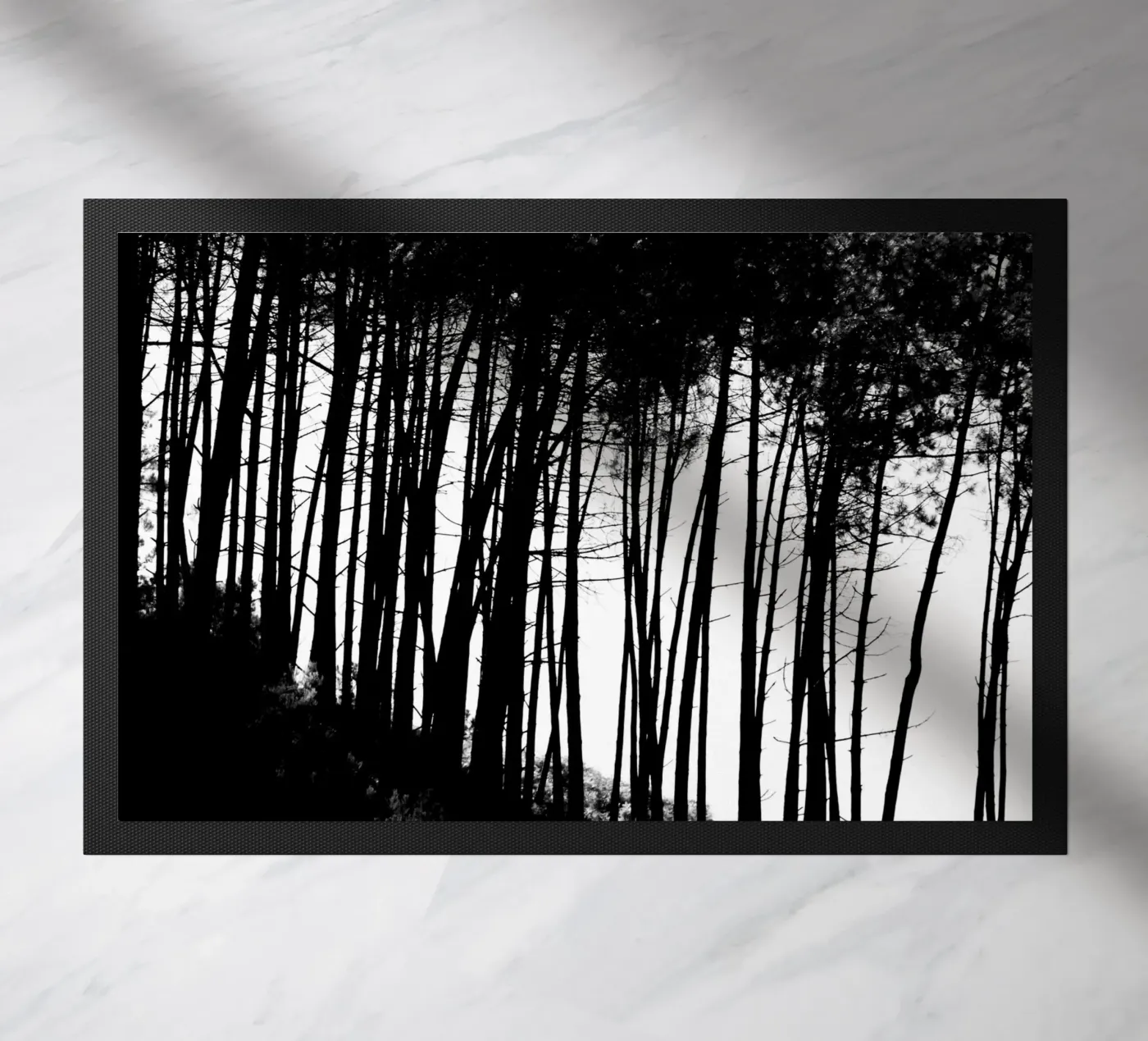 Black and white zerbino da Teresa André