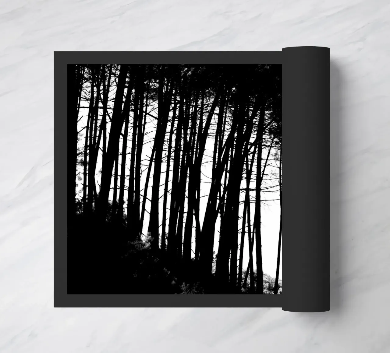 Bianco e nero zerbino da Teresa André