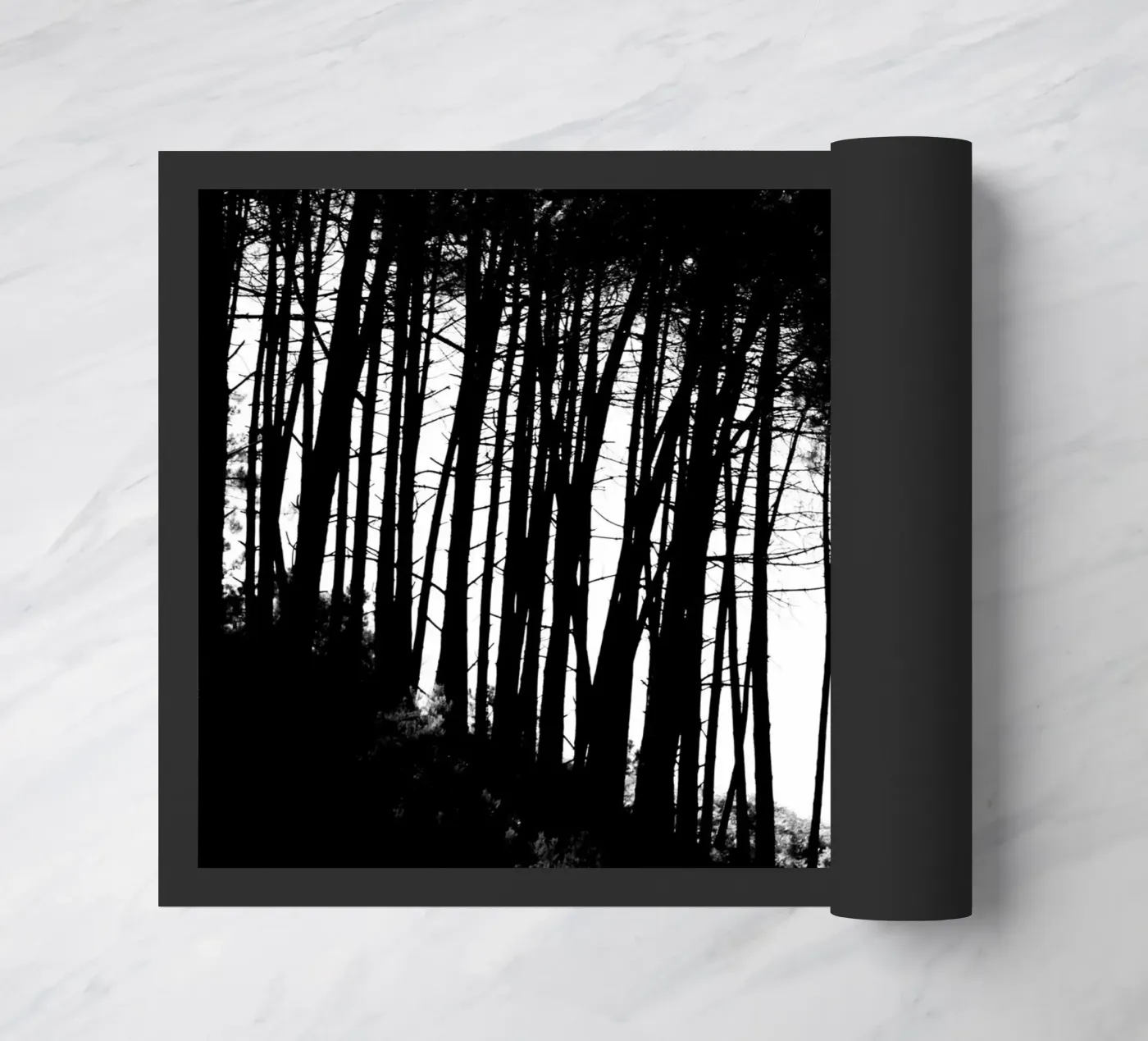 Black and white zerbino da Teresa André