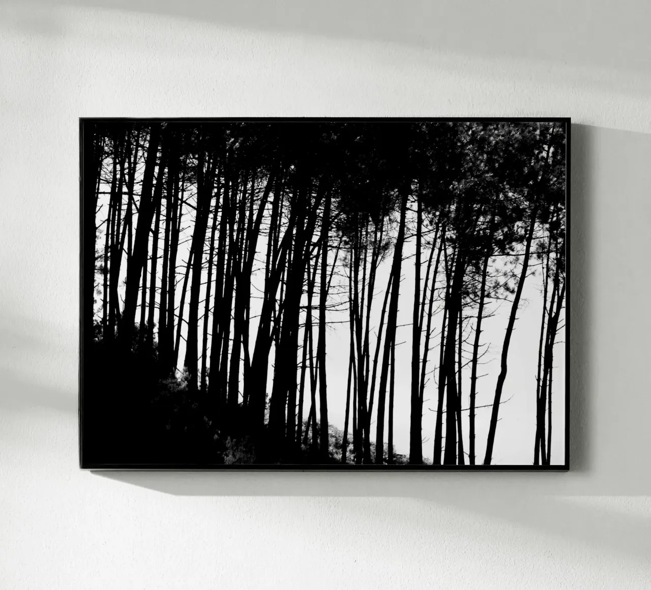 Bianco e nero plexiglass da Teresa André