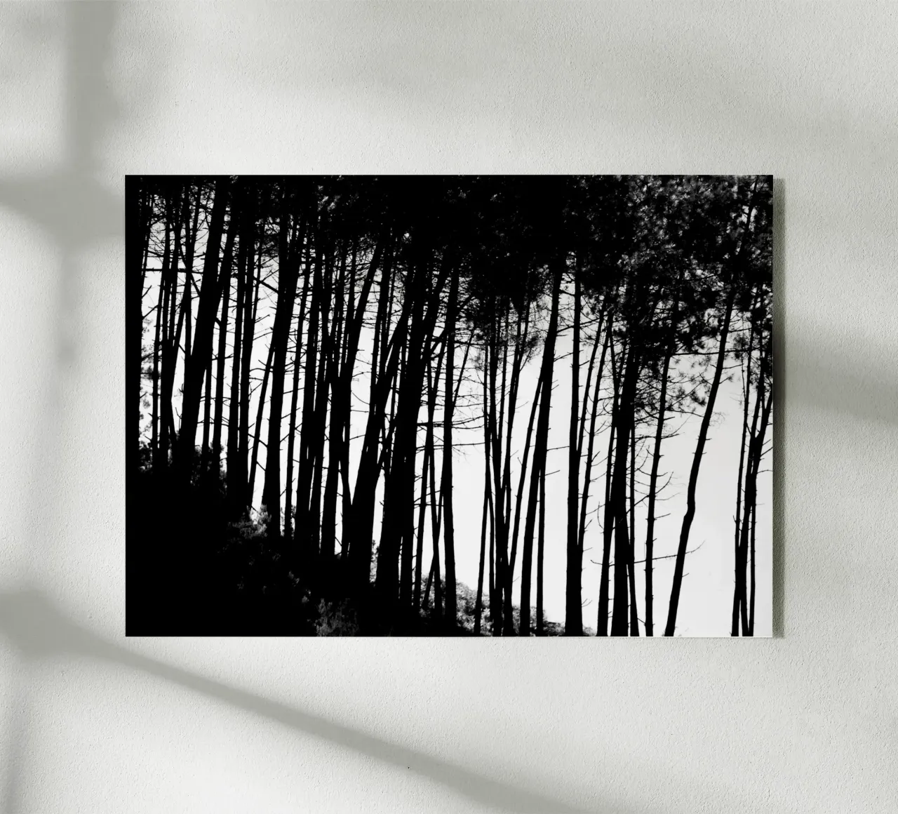 Bianco e nero plexiglass da Teresa André