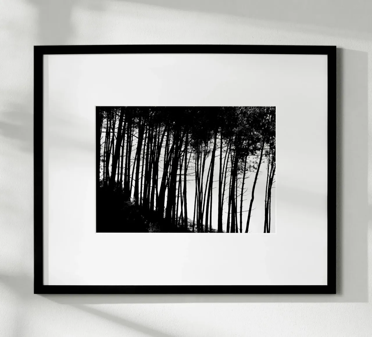 Bianco e nero poster da Teresa André